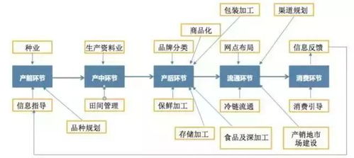 互聯網農業 物聯網技術服務帶來的務農新體驗